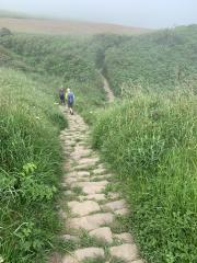 Somewhere near Hawsker Bottoms